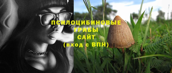 прущие крисы Сатка