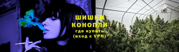 PSILOCYBIN Алексеевка